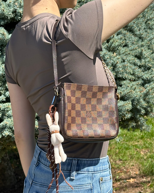 Louis Vuitton Damier Ebene Pochette Trousse