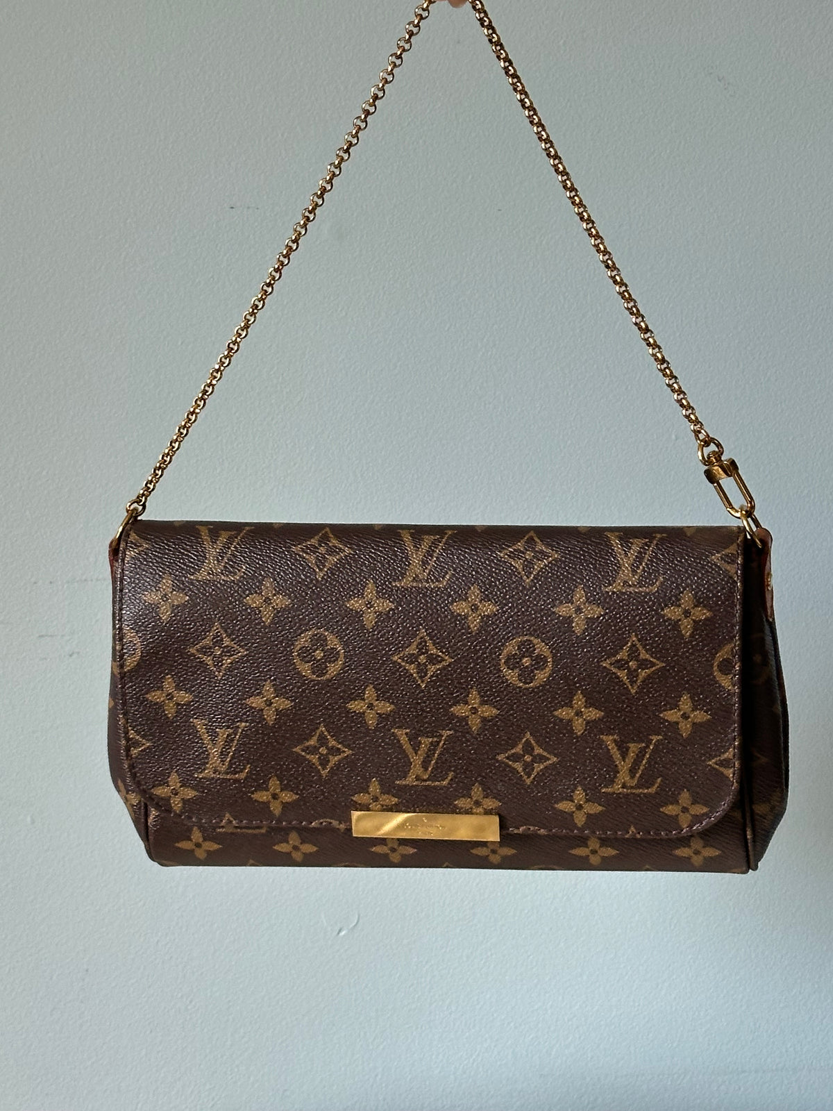 Louis Vuitton Monogram Favorite MM Shoulder Crossbody Bag