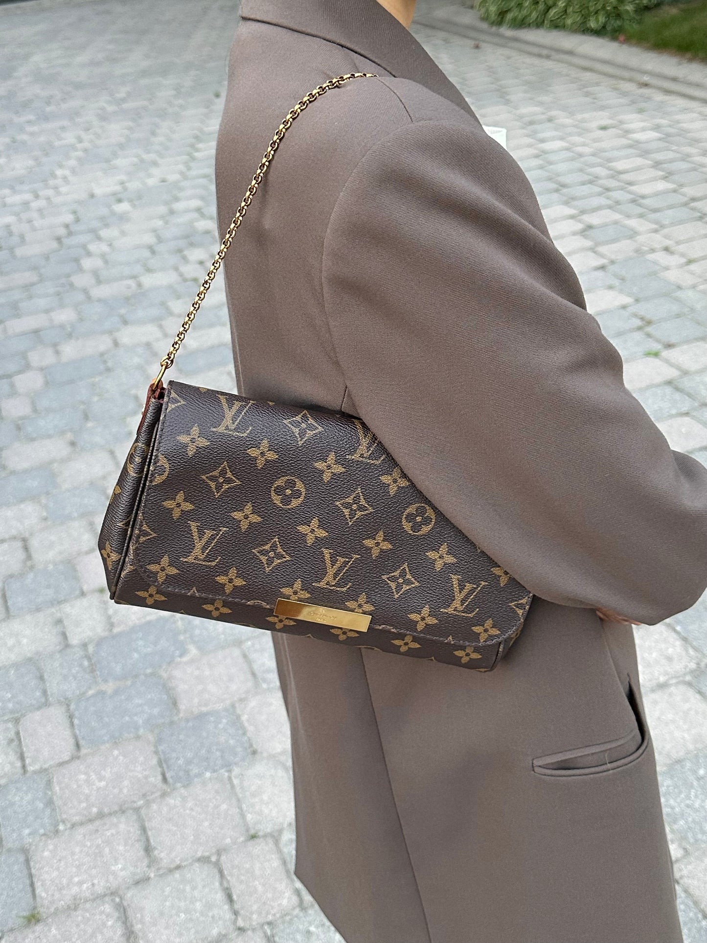 Louis Vuitton Monogram Favorite MM Shoulder Crossbody Bag