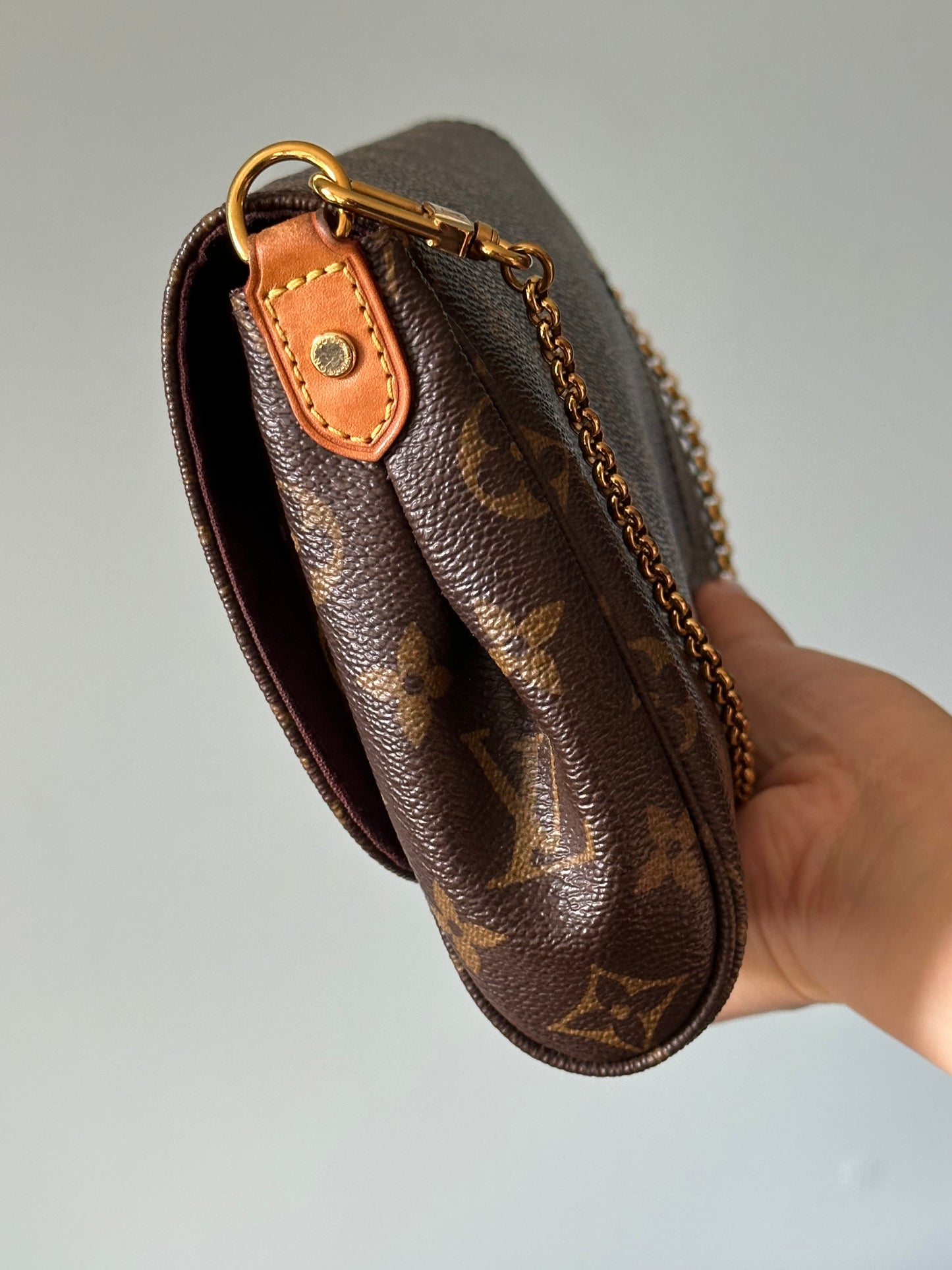 Louis Vuitton Monogram Favorite MM Shoulder Crossbody Bag