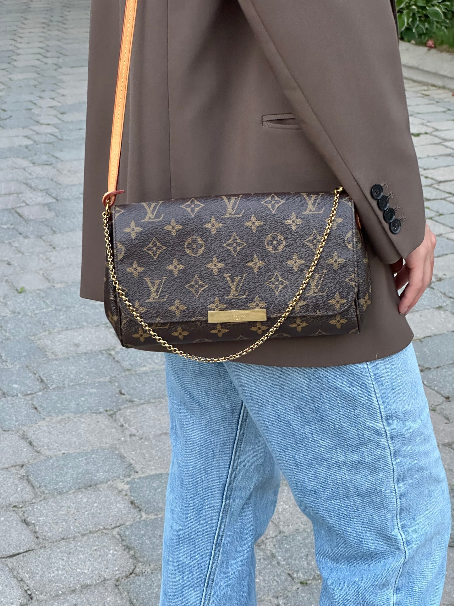 Louis Vuitton Monogram Favorite MM Shoulder Crossbody Bag