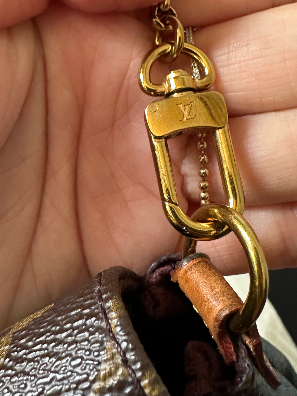 Louis Vuitton Monogram Favorite MM Shoulder Crossbody Bag
