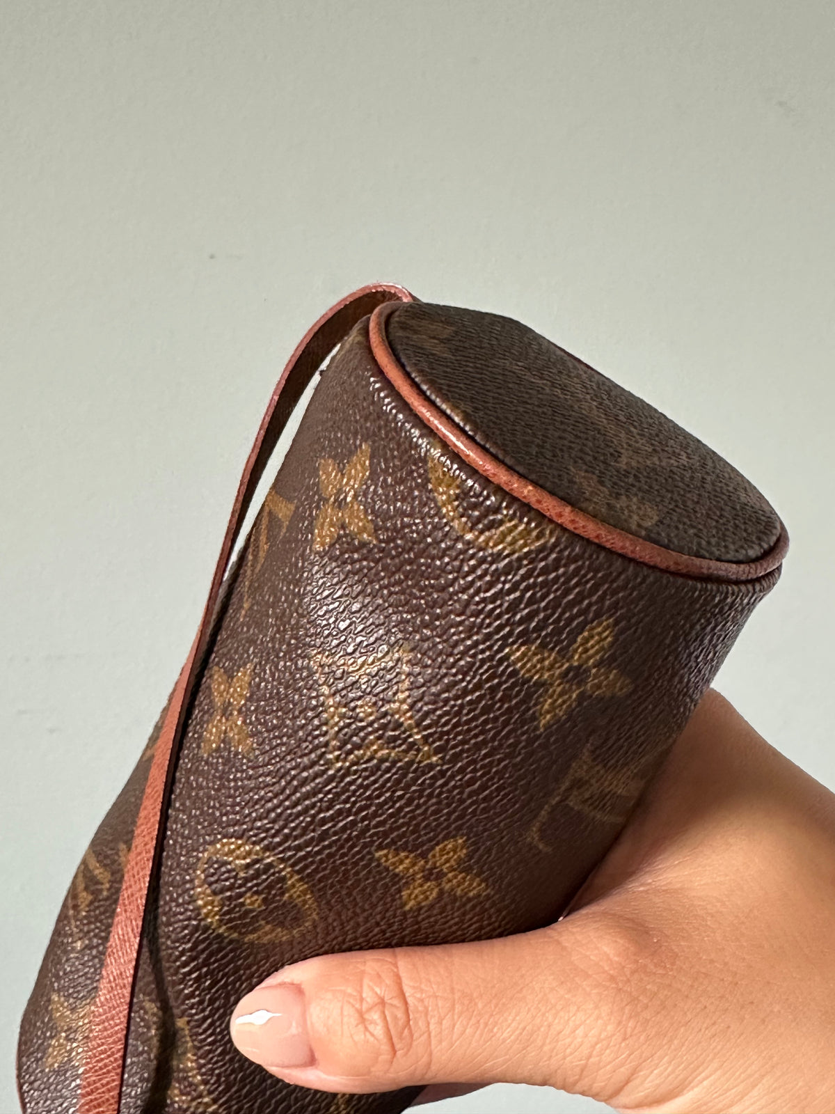 Louis Vuitton Monogram Mini Papillon Bag