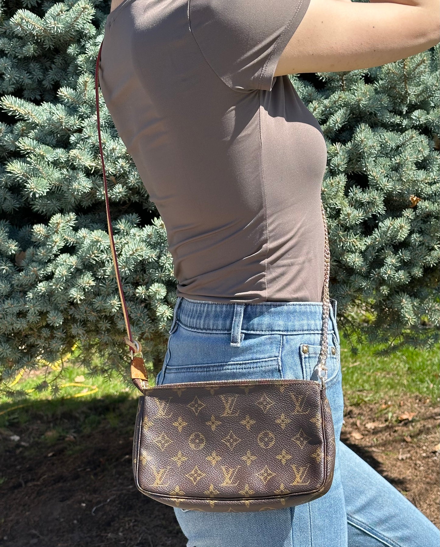 Louis Vuitton Monogram Pochette Accessoires