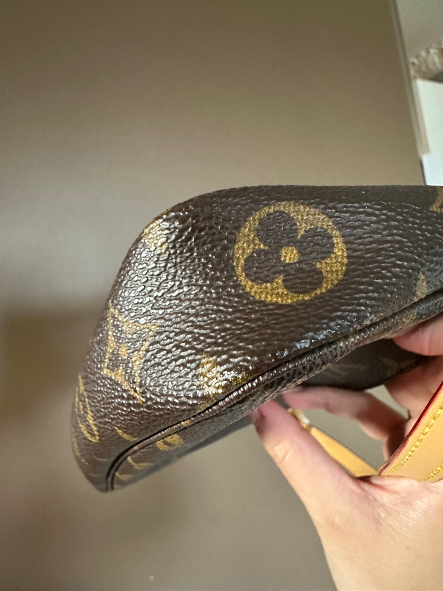 Louis Vuitton Monogram Pochette Accessoires