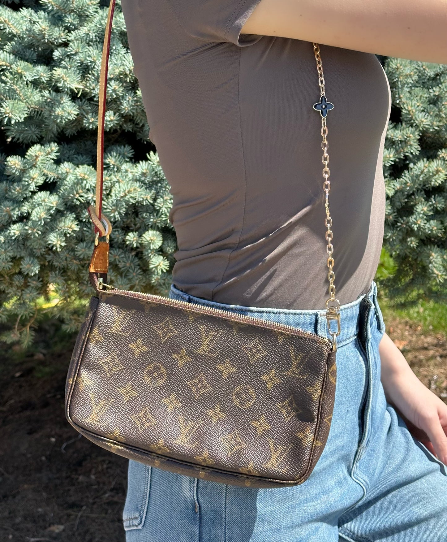 Louis Vuitton Monogram Pochette Accessoires