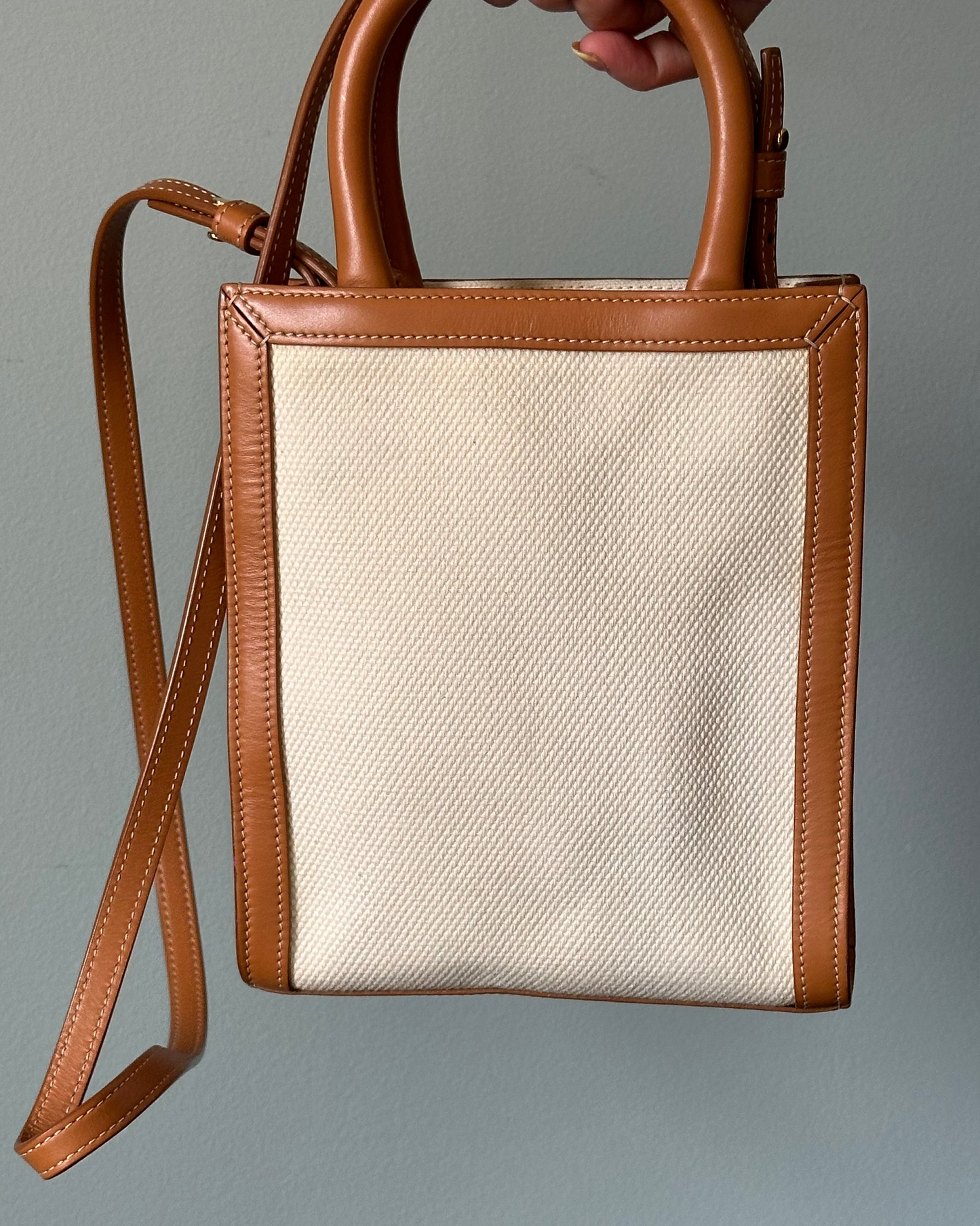 Celine Vertical Cabas Canvas with Leather Mini Tote Bag