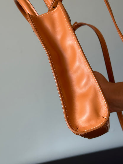 Celine Vertical Cabas Canvas with Leather Mini Tote Bag