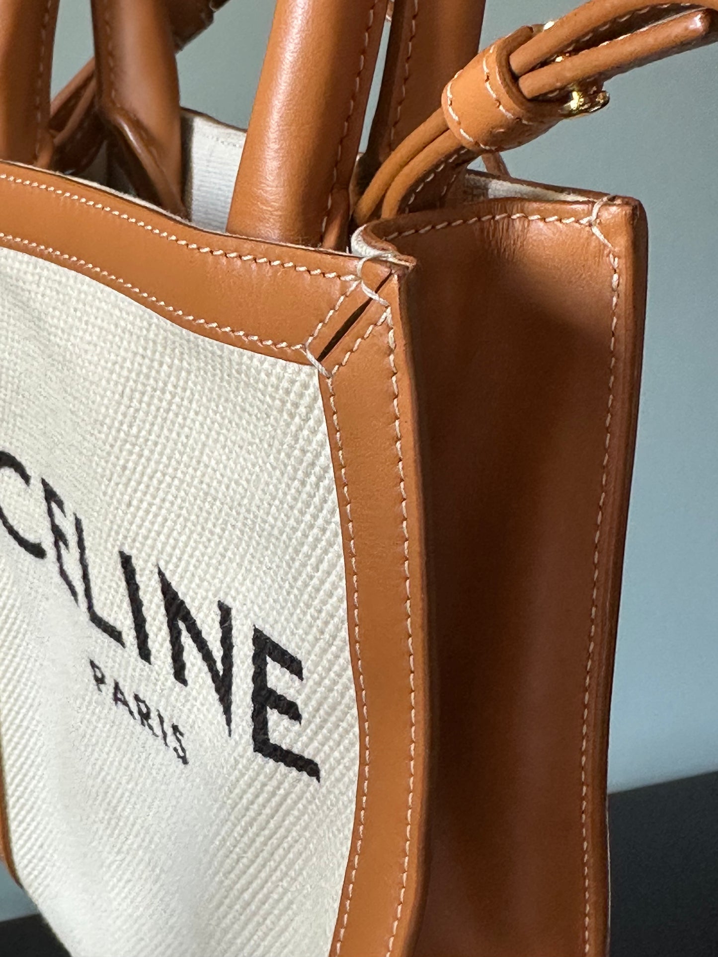 Celine Vertical Cabas Canvas with Leather Mini Tote Bag