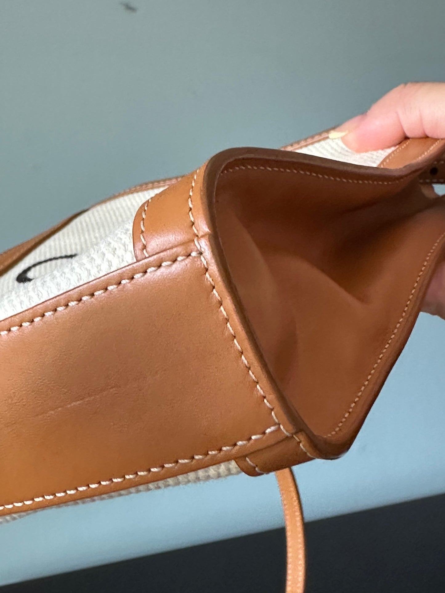 Celine Vertical Cabas Canvas with Leather Mini Tote Bag