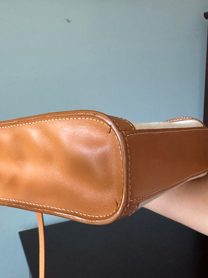 Celine Vertical Cabas Canvas with Leather Mini Tote Bag