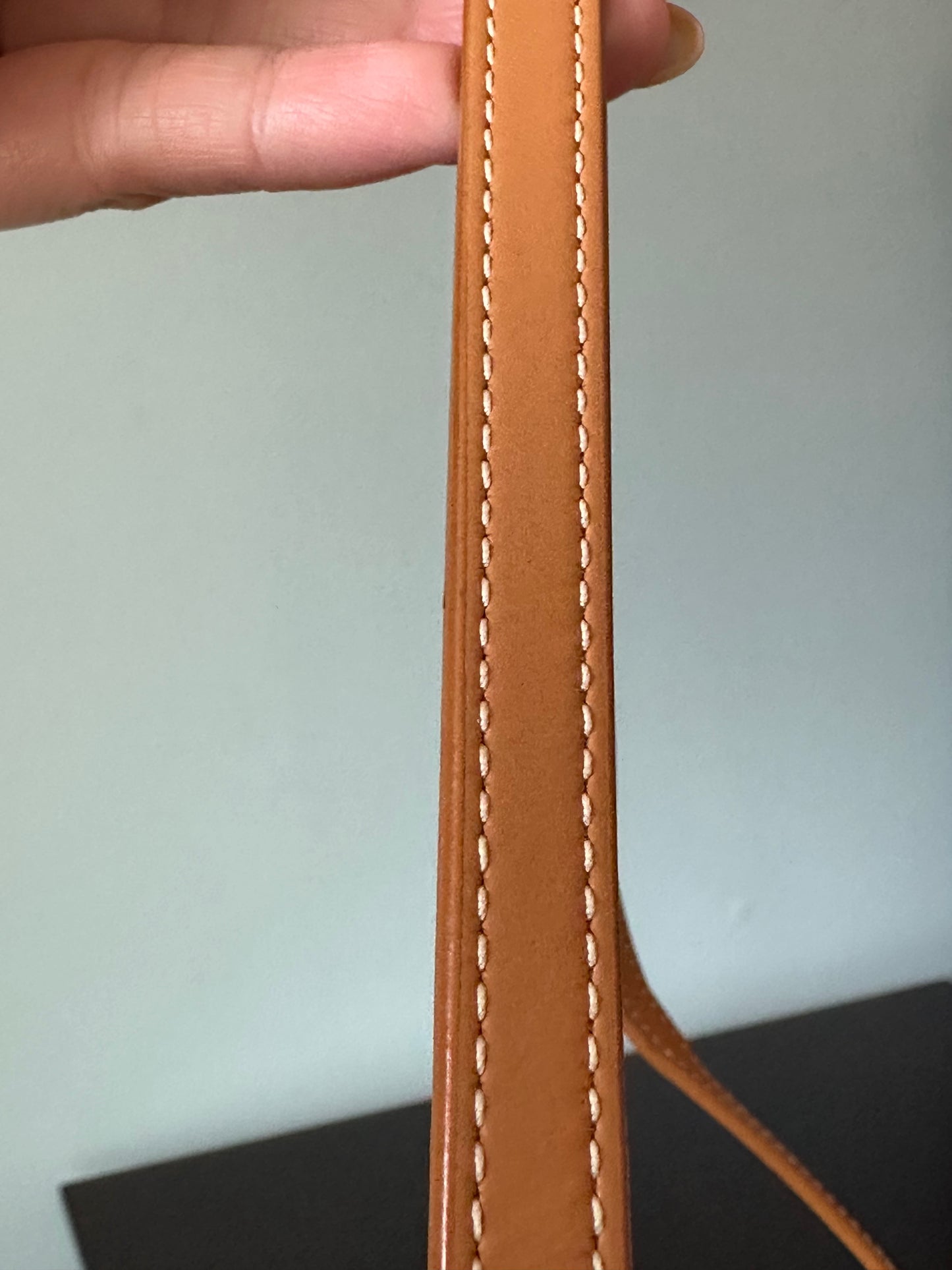 Celine Vertical Cabas Canvas with Leather Mini Tote Bag