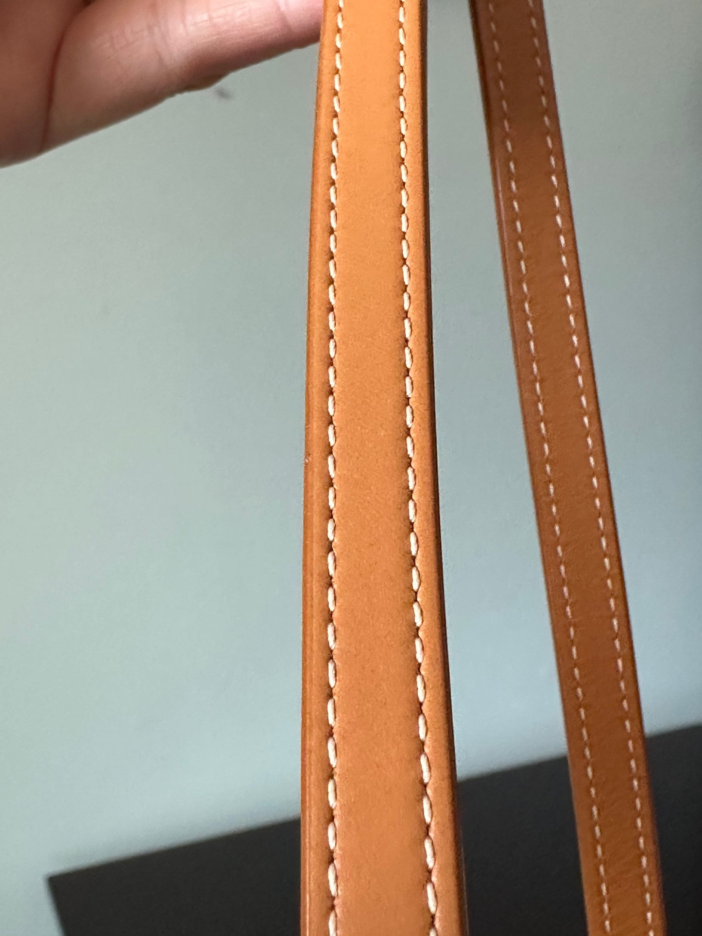 Celine Vertical Cabas Canvas with Leather Mini Tote Bag