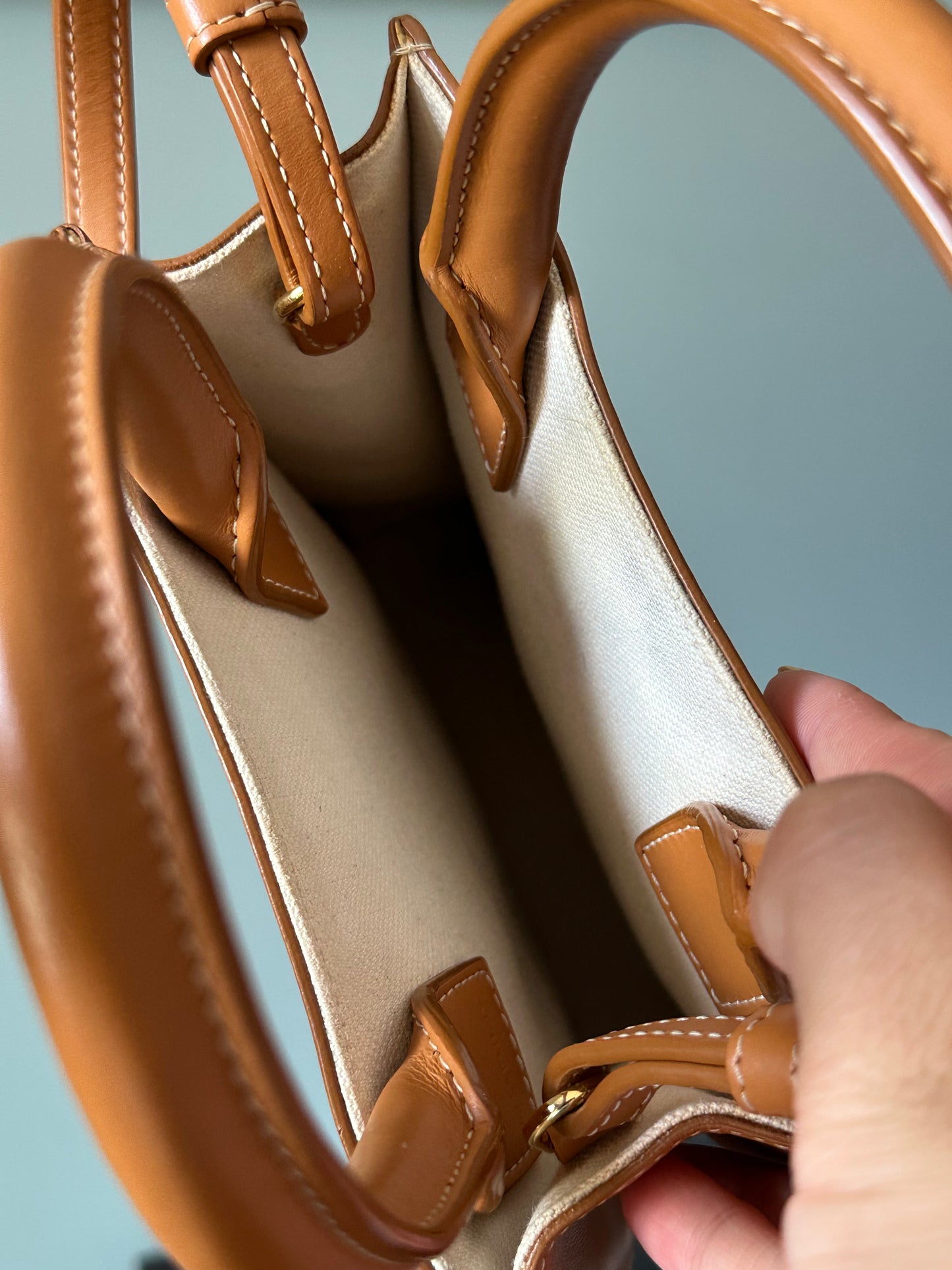 Celine Vertical Cabas Canvas with Leather Mini Tote Bag