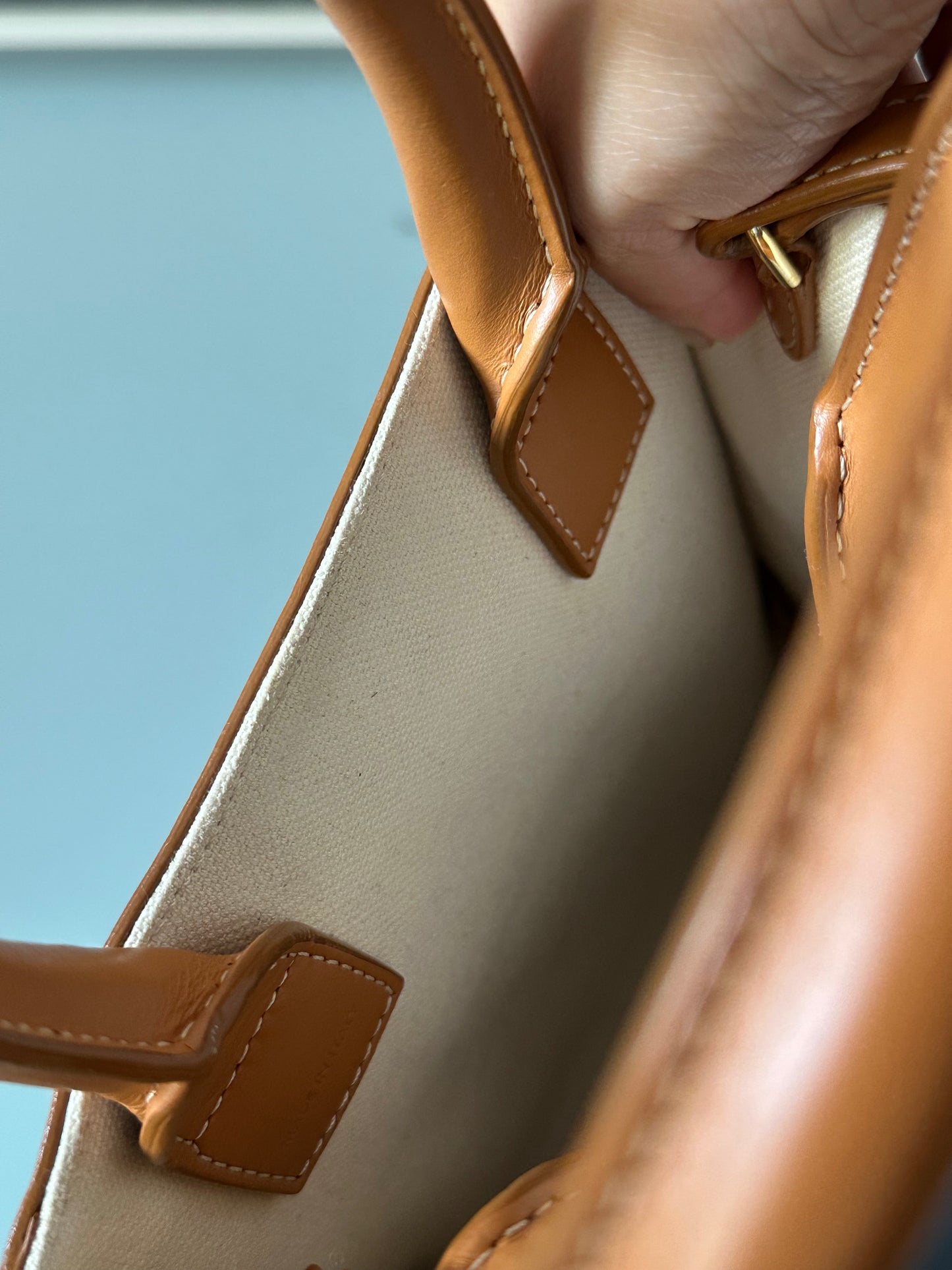 Celine Vertical Cabas Canvas with Leather Mini Tote Bag