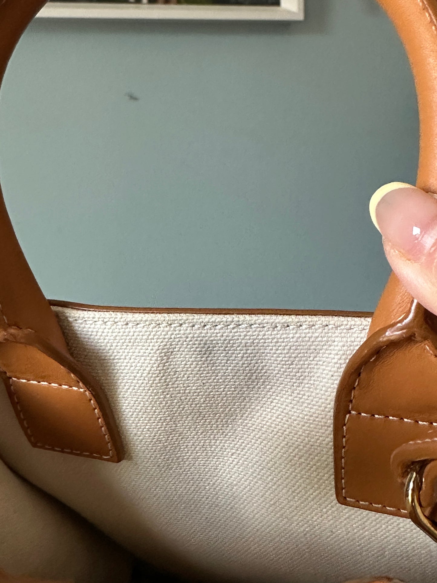 Celine Vertical Cabas Canvas with Leather Mini Tote Bag