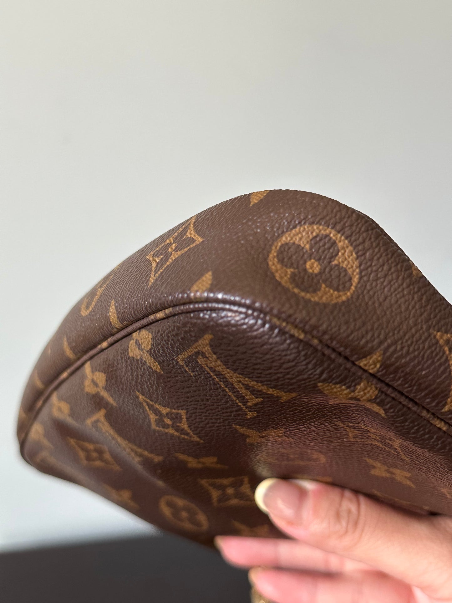 Louis Vuitton Monogram Pochette Accessoires