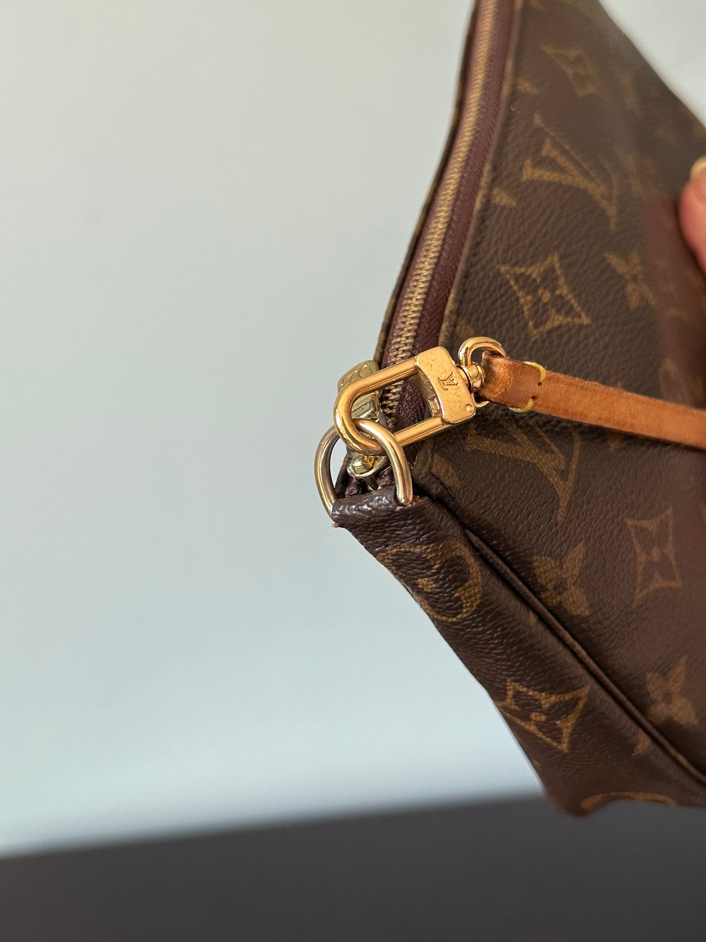 Louis Vuitton Monogram Pochette Accessoires