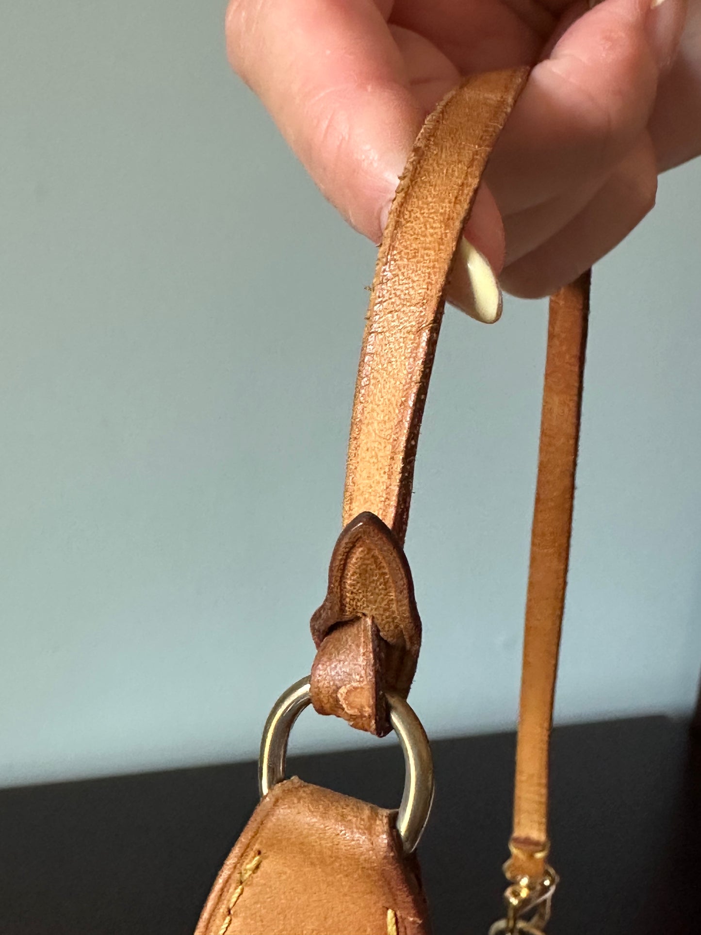 Louis Vuitton Monogram Pochette Accessoires