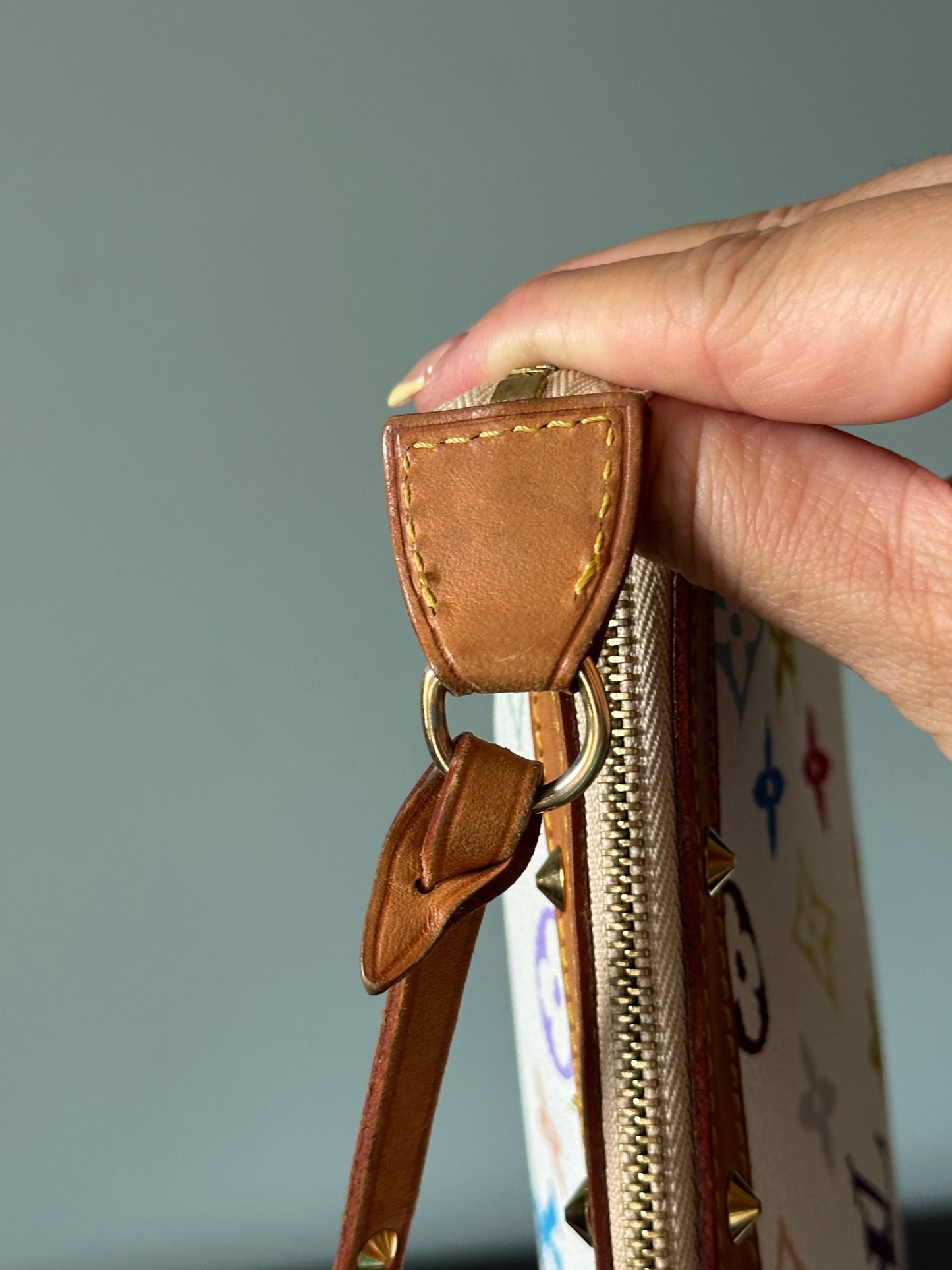 Louis Vuitton Murakami Monogram Multicolore Pochette Accessoires