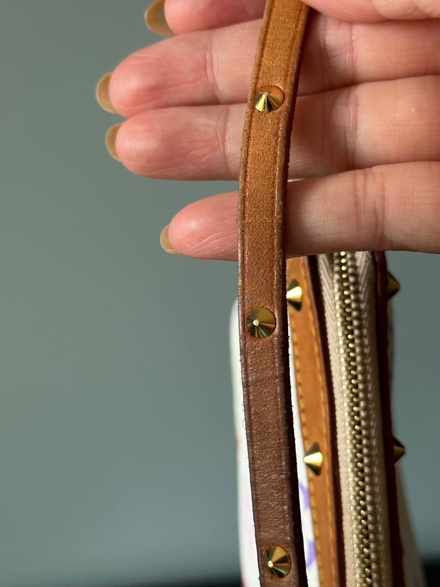 Louis Vuitton Murakami Monogram Multicolore Pochette Accessoires