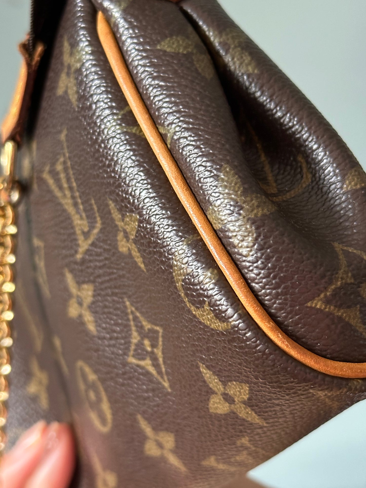 Louis Vuitton Monogram Pochette Eva Shoulder Crossbody Bag