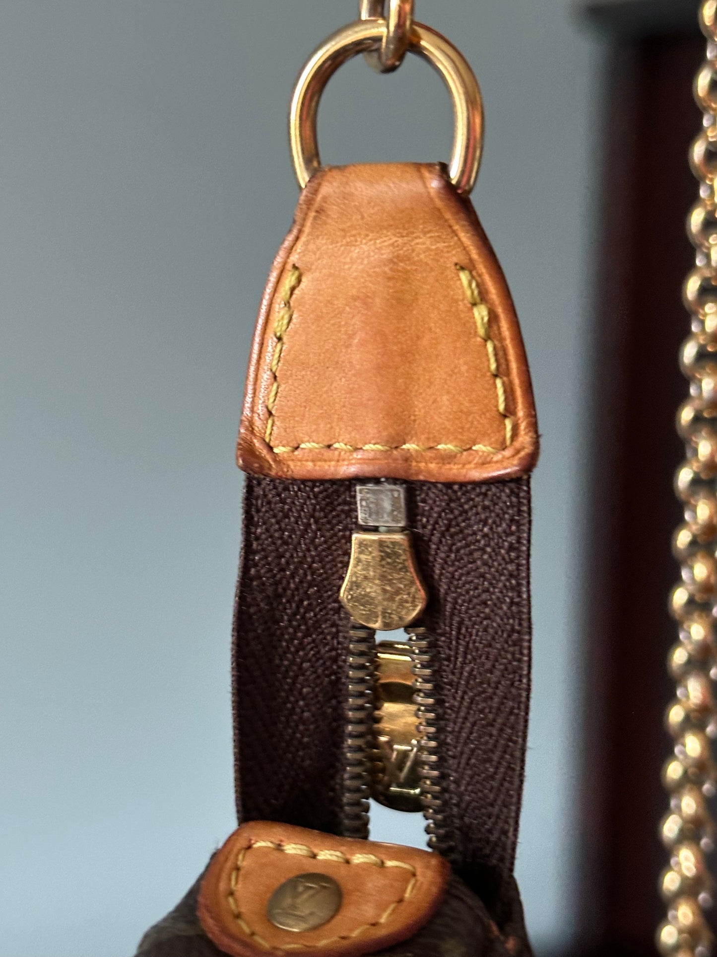 Louis Vuitton Monogram Pochette Eva Shoulder Crossbody Bag