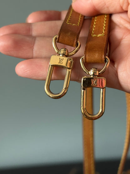 Louis Vuitton Monogram Pochette Eva Shoulder Crossbody Bag