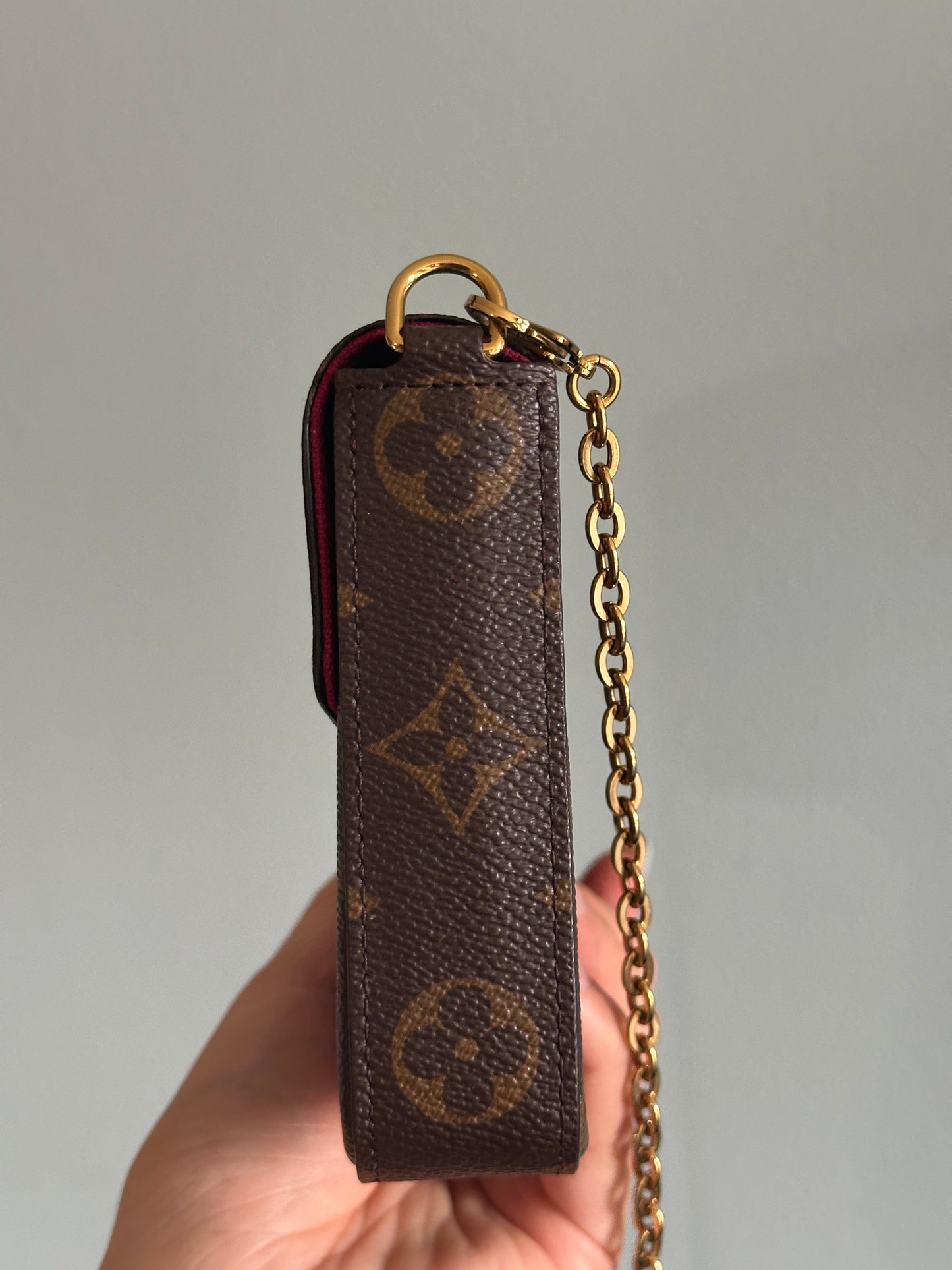 Louis Vuitton Monogram Félicie Pochette w/ one insert