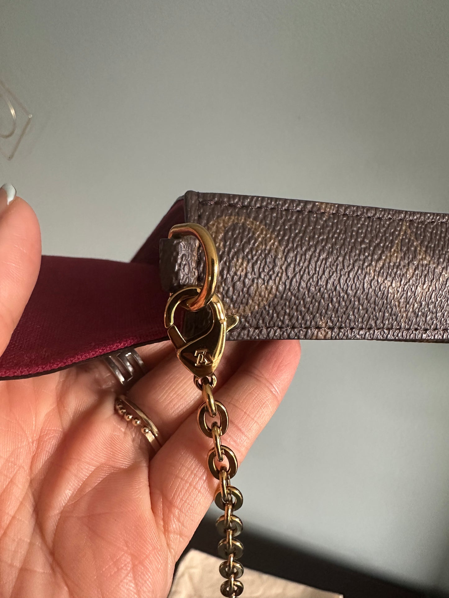 Louis Vuitton Monogram Félicie Pochette w/ one insert